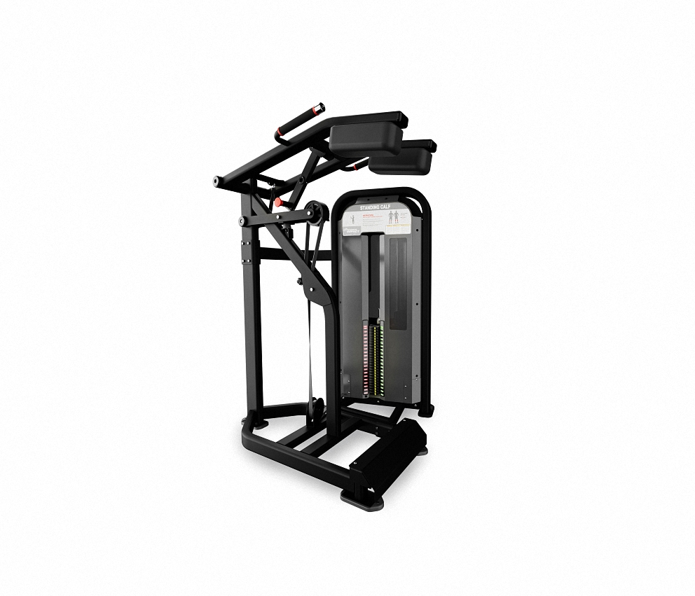 GEMELO DE PIE – STANDING CALF