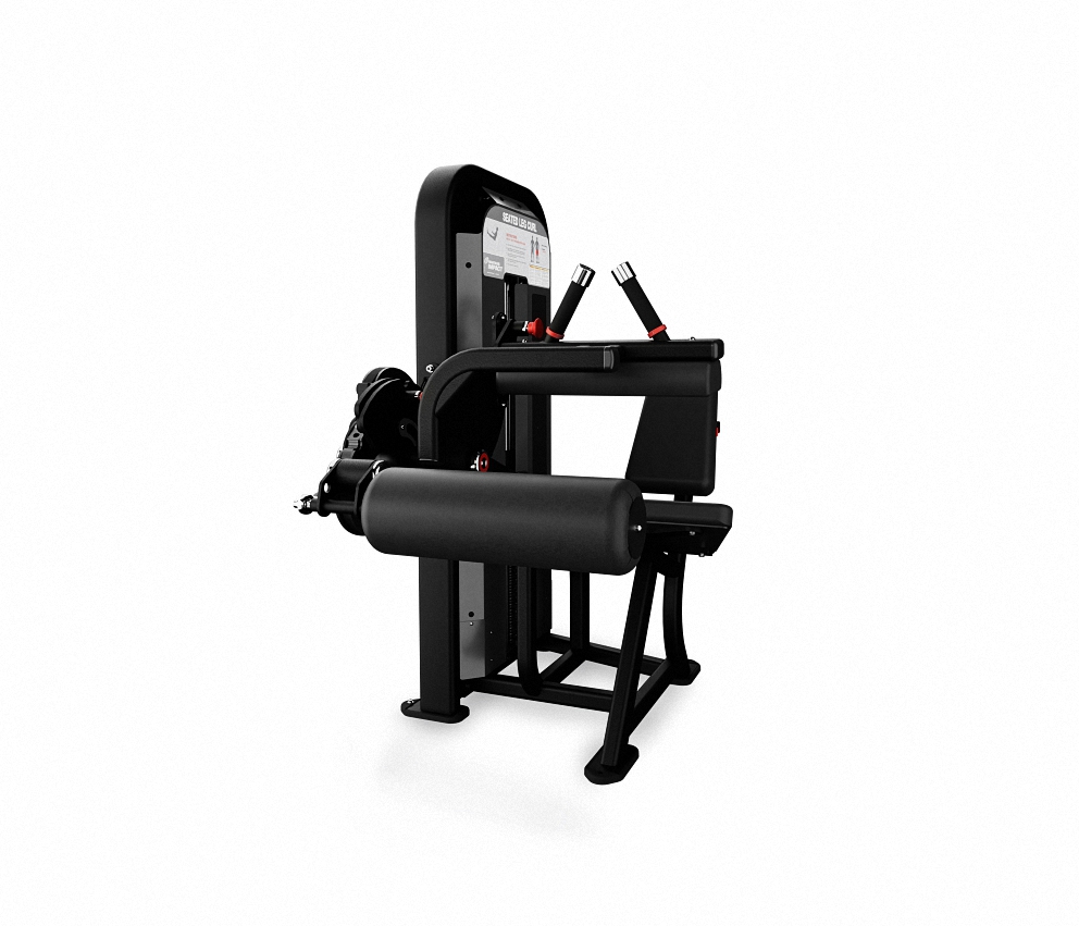 FLEXION DE PIERNAS SENTADO-SEATED LEG CURL, W/ ROM