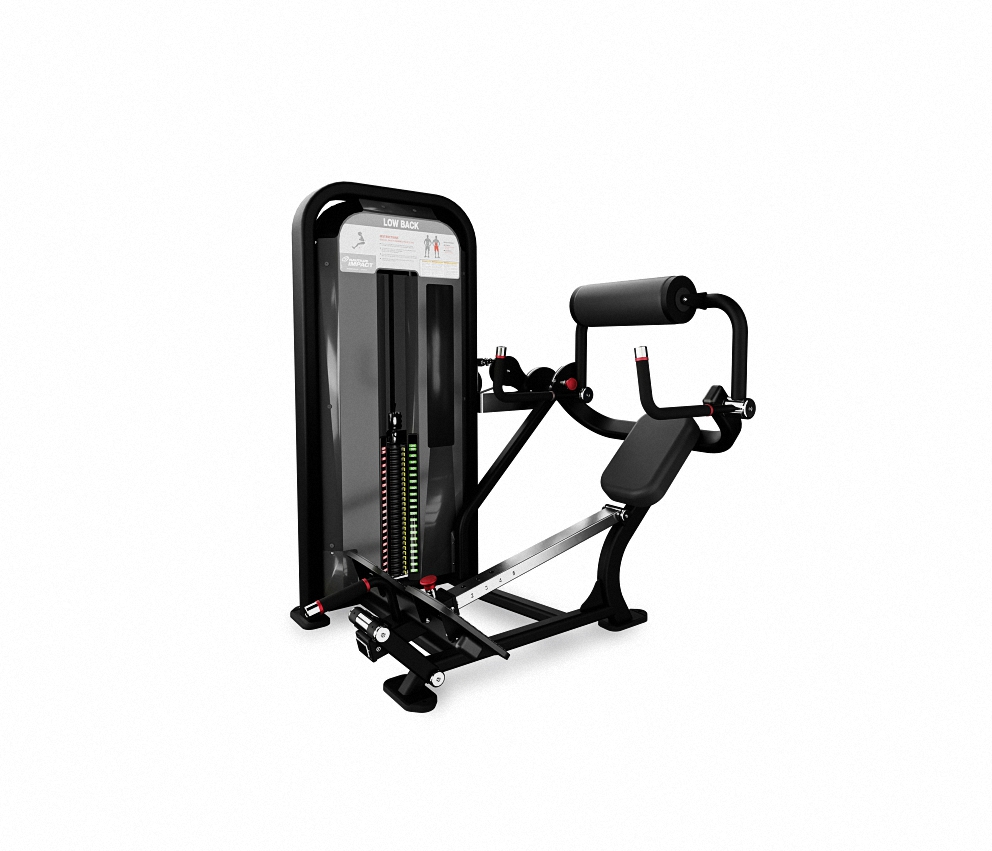 DORSAL BAJO – LOW BACK