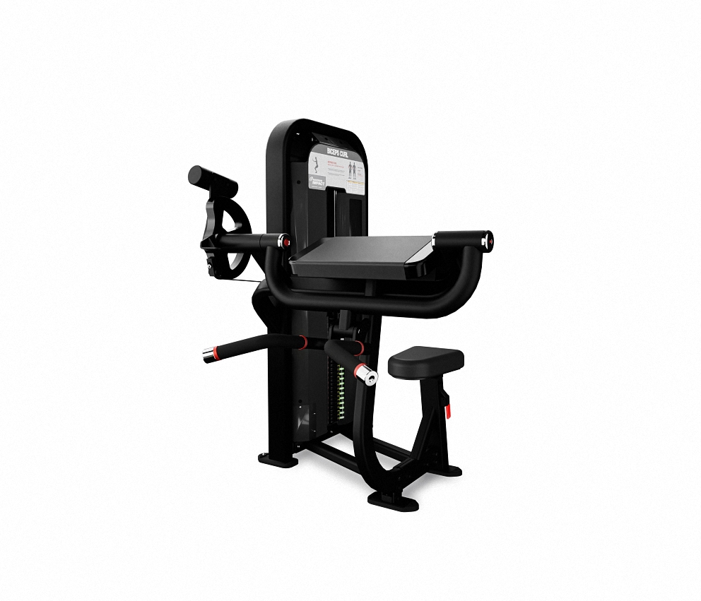 FLEXION DE BICEPS – BICEPS CURL