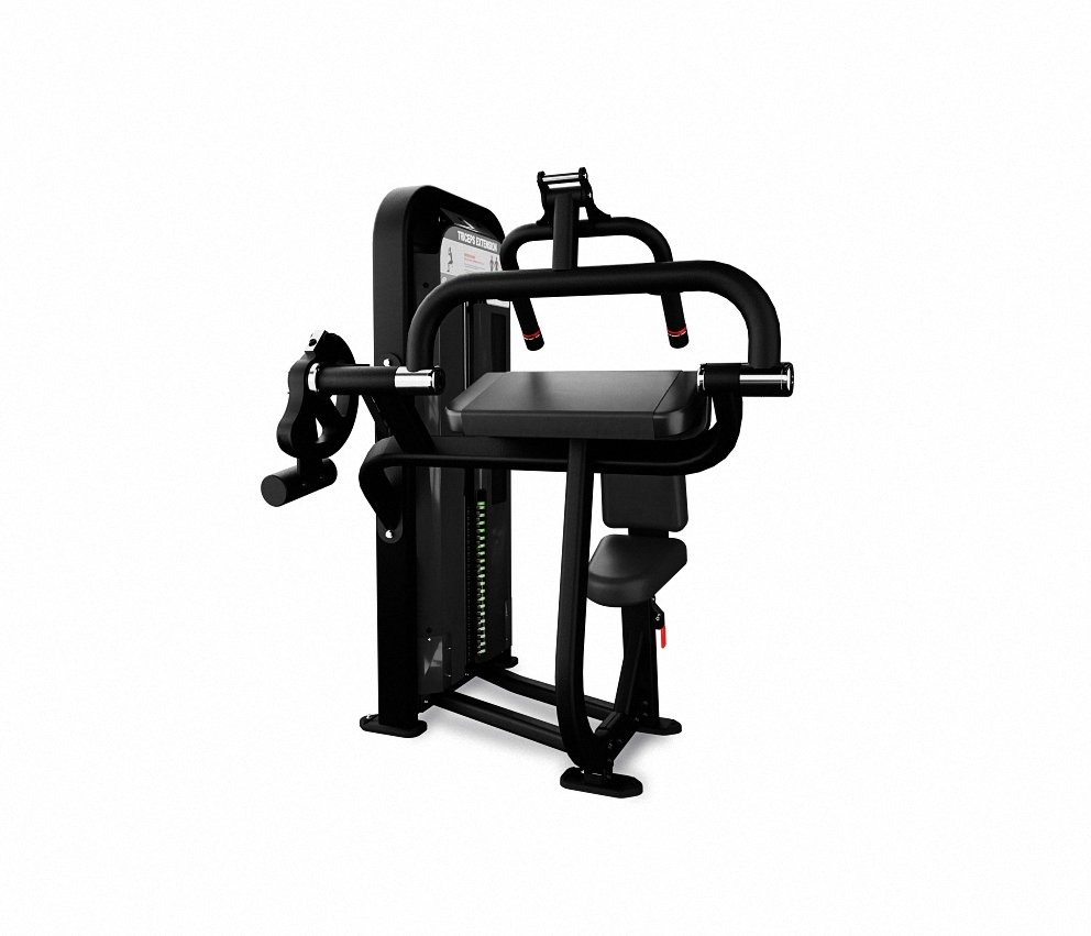 EXTENSION DE TRICEPS – TRICEPS EXTENSION