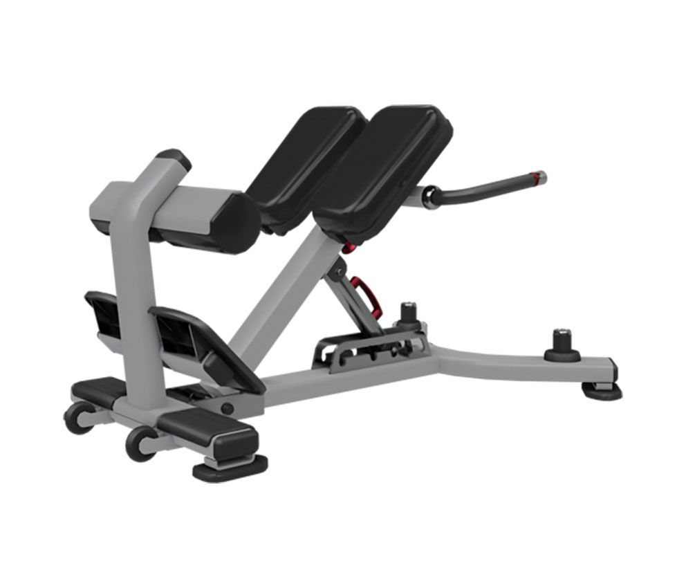 EXTENSION DE ESPALDA – NP, 45 DEGREE BACK EXT
