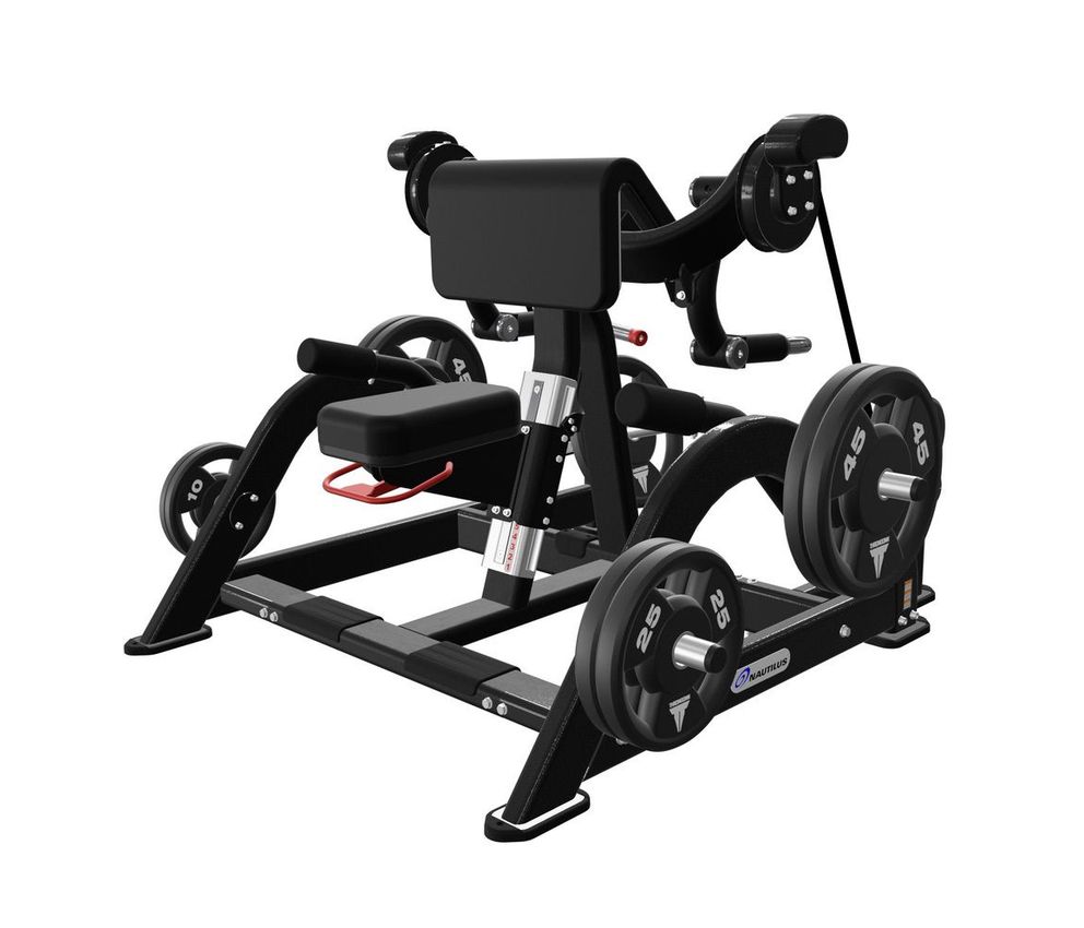 FLEXION DE BICEPS – BICEPS CURL