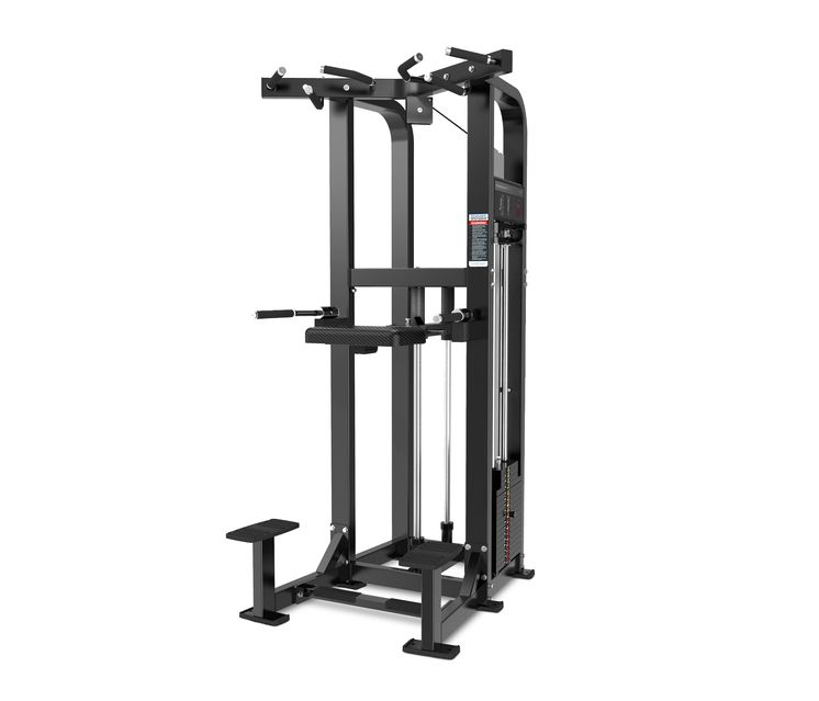 DUAL FONDOS/DOMINADAS / DIP/CHIN ASSIST