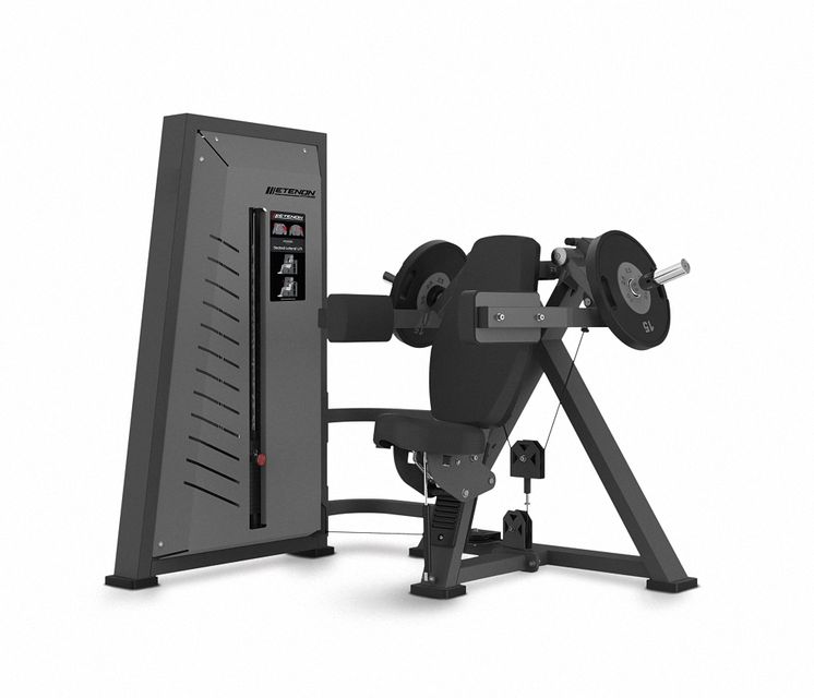 ELEVACIONES LATERALES SENTADO/SEATED LATERAL LIFT