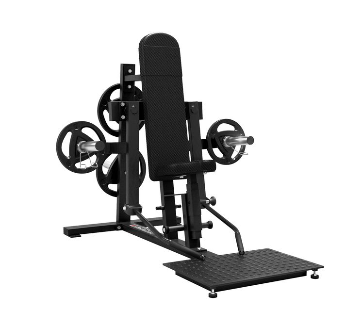DELTOIDES POSTERIOR / UPRIGHT DELTOID ETENON SPN
