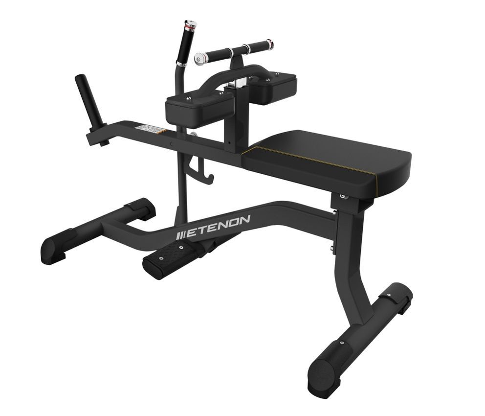 GEMELO SENTADO ETENON PTT02